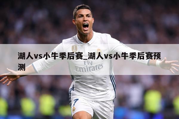 湖人vs小牛季后赛_湖人vs小牛季后赛预测