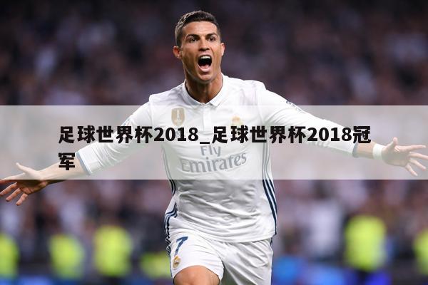 足球世界杯2018_足球世界杯2018冠军